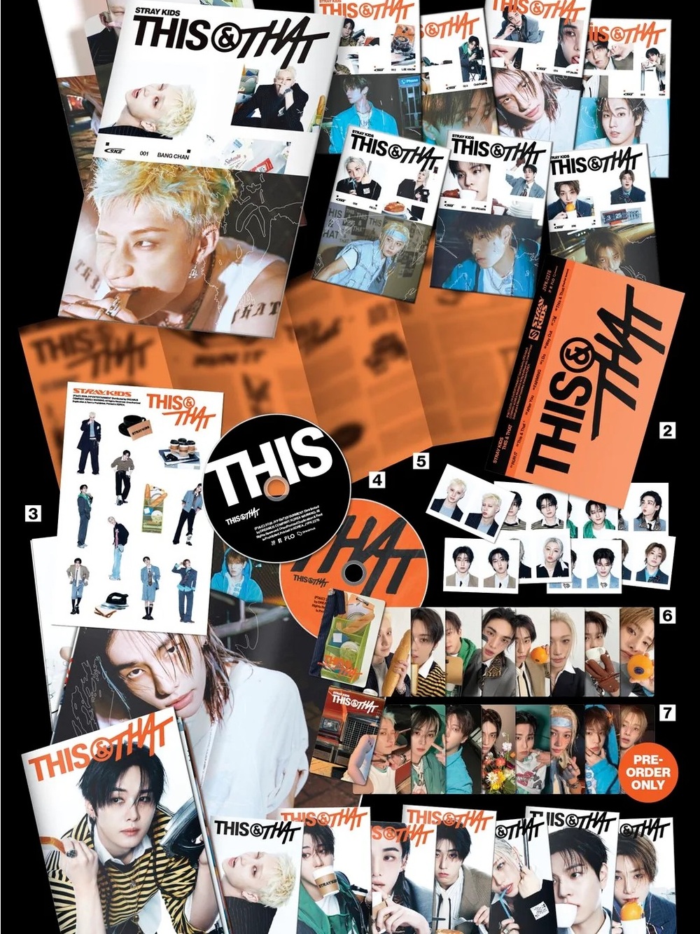 STRAY KIDS - THIS & THAT 10TH MINI ALBUM - CHANGBIN VER.